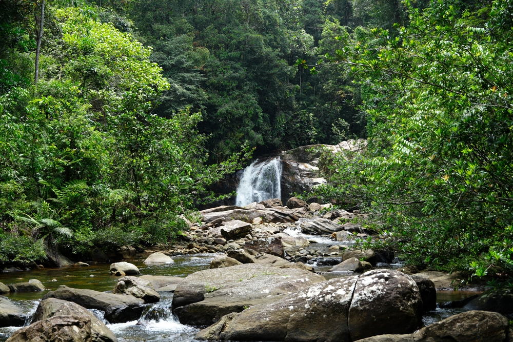 Sinharaja